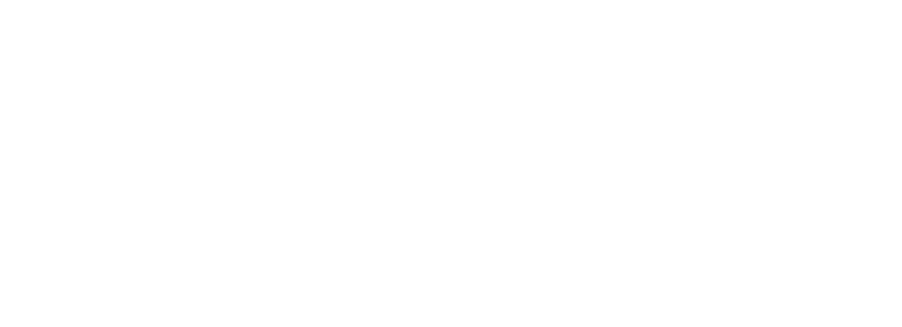 LOGO BINARI OK_WHITE